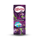 Carton Ribena 250ml 